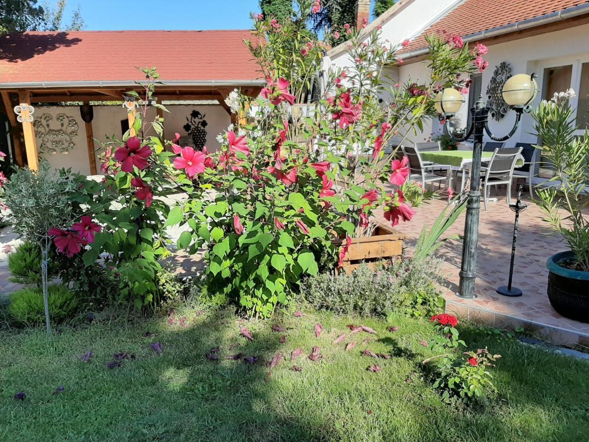 Elizabeth Apartman Tokaj Buitenkant foto