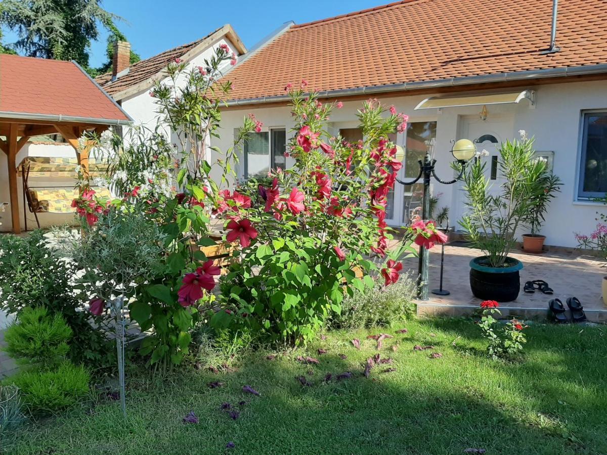 Elizabeth Apartman Tokaj Buitenkant foto